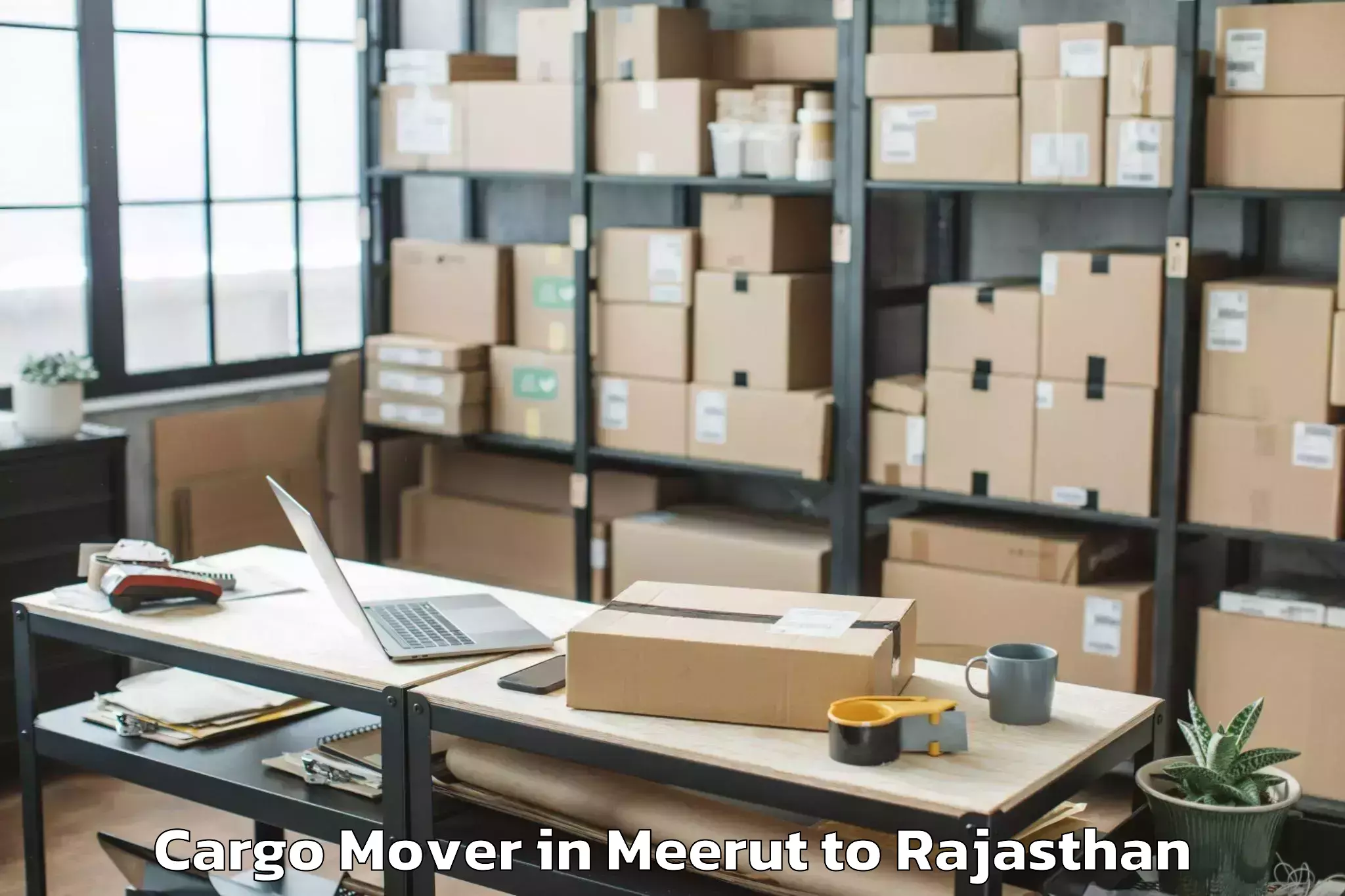 Hassle-Free Meerut to Makrana Cargo Mover